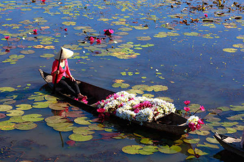 Jual Poster Lake Water lilies Boats Asian Hat Work WPS