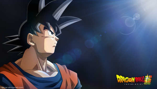 Poster Dragon Ball Super Goku Dragon Ball Dragon Ball Super APC018A