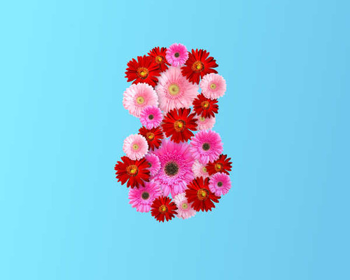 Jual Poster March 8 Gerberas Colored background WPS 002