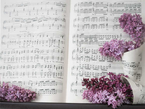 Jual Poster Notes Lilac WPS