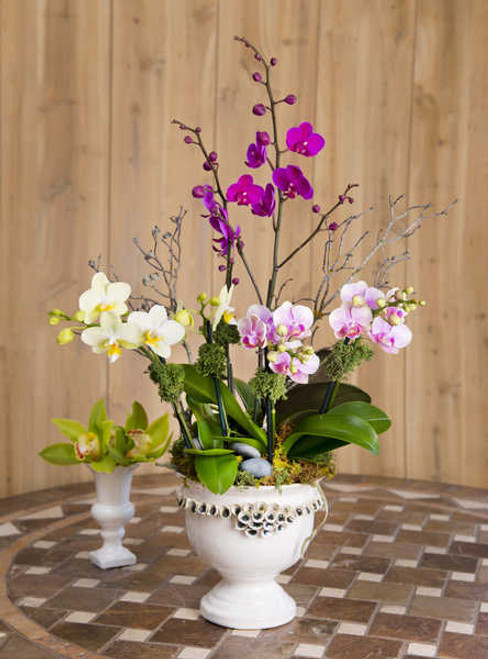 Jual Poster Orchid Wood planks Vase WPS