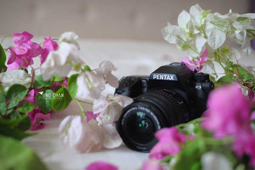 Jual Poster pentaxCamera WPS