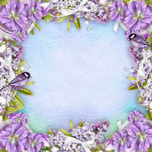 Jual Poster Primula Birds Lilac WPS Jual Poster Primula Birds Lilac WPS