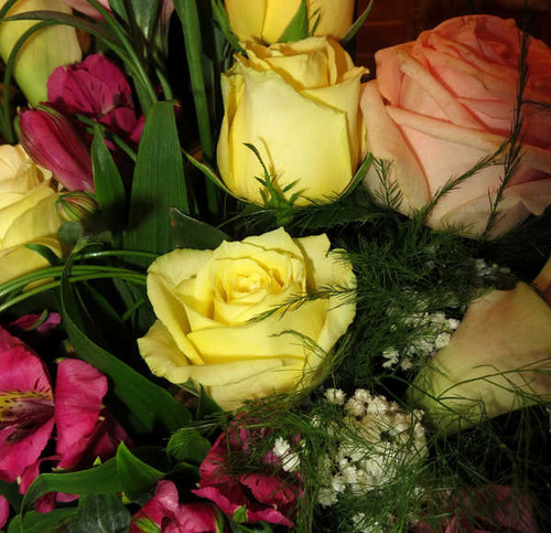 Jual Poster Roses Closeup WPS 025