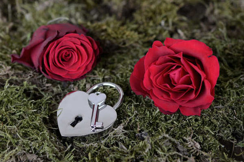 Jual Poster Roses Moss Red Padlock Key lock WPS