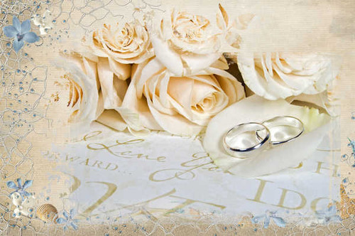 Jual Poster Roses Ring Two WPS