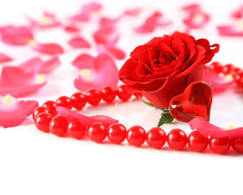 Jual Poster Roses Valentine's Day WPS 003