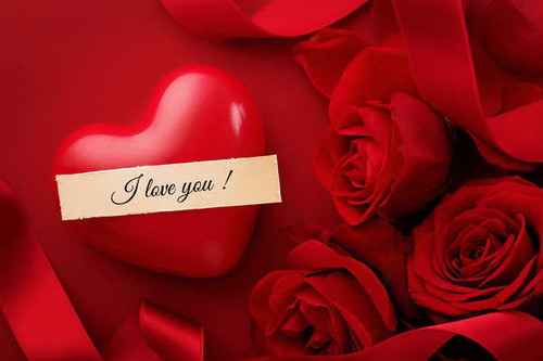 Jual Poster Roses Valentine's Day WPS 009