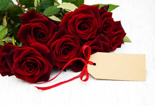 Jual Poster Roses White background WPS 001