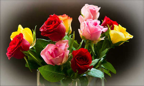 Jual Poster Roses WPS 006