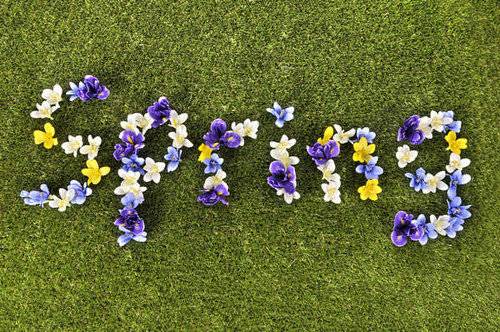 Jual Poster Spring Spring Lawn English Word Lettering WPS
