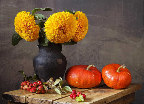 Jual Poster Still life Tagetes Pumpkin Apples Vase Branches WPS