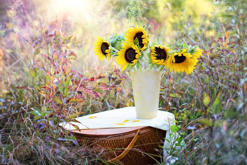 Jual Poster Sunflowers Vase Wicker basket WPS