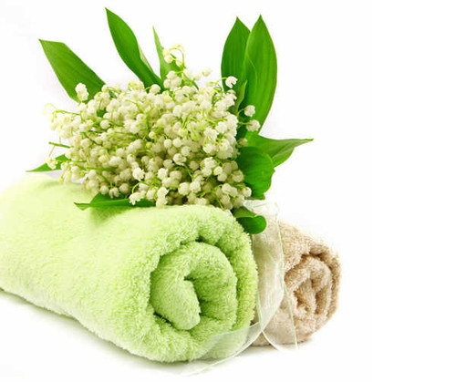 Jual Poster Towel Lilies of the WPS Jual Poster Towel Lilies of the WPS