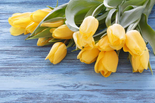 Jual Poster Tulips Bouquets Wood planks Yellow WPS