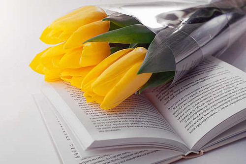 Jual Poster Tulips Bouquets Yellow Book WPS