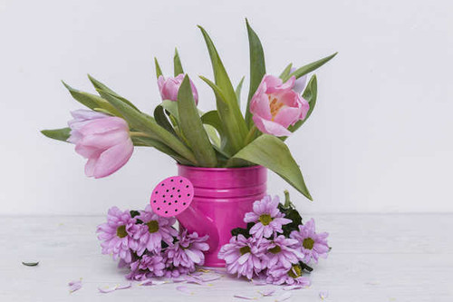 Jual Poster Tulips Chrysanthemums Pink color WPS