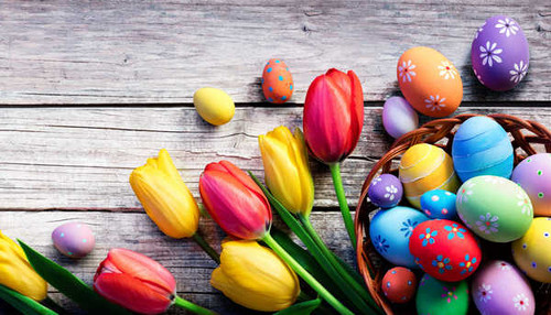 Jual Poster Tulips Eggs Design WPS