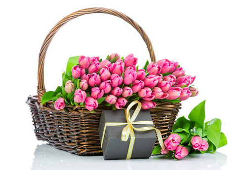 Jual Poster Tulips Many Wicker WPS