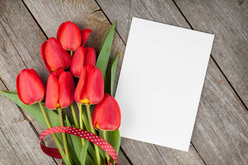 Jual Poster Tulips Red Wood planks Sheet of paper Template WPS