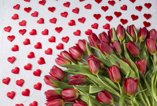 Jual Poster Tulips Valentine's Day Heart WPS 002