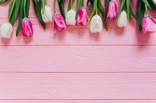 Jual Poster Tulips Wood planks WPS 004