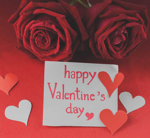 Jual Poster Valentine's Day Roses Colored background English WPS 002