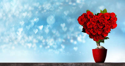 Jual Poster Valentine's Day Roses Design Heart Red 11111x5916WPS