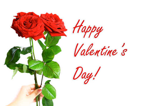 Jual Poster Valentine's Day Roses WPS 009