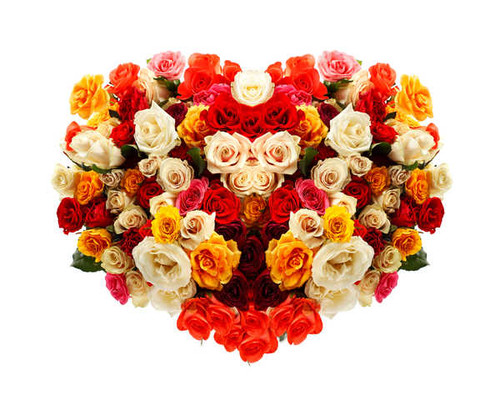 Jual Poster Valentine's Day Roses WPS 026