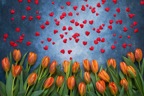 Jual Poster Valentine's Day Tulips Heart WPS 003