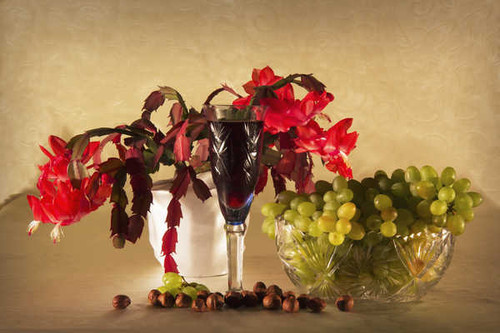 Jual Poster Wine Grapes Nuts Schlumbergera (Zygocactus) WPS