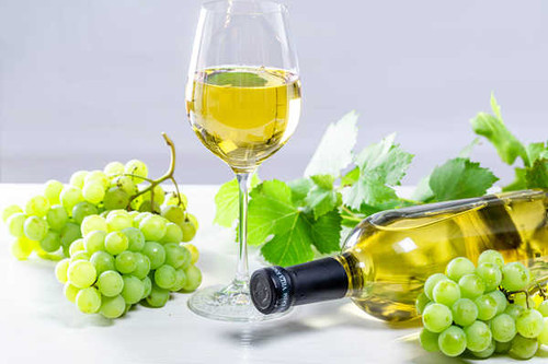 Jual Poster Alcohol Bottle Drink Grapes Wine Food Wine0 APC