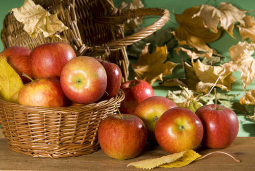 Jual Poster Apple Basket Fall Leaf Fruits Apple APC