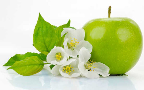 Jual Poster Apple Flower Food Green Nature Fruits Apple APC