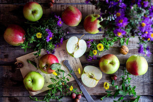 Jual Poster Apple Flower Fruit Still Life Fruits Apple APC