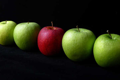 Jual Poster Apple Food Fruit Fruits Apple APC 002