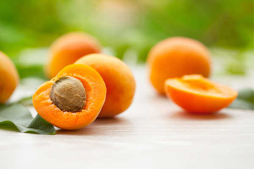 Jual Poster Apricot Blur Depth Of Field Fruit Food Apricot APC