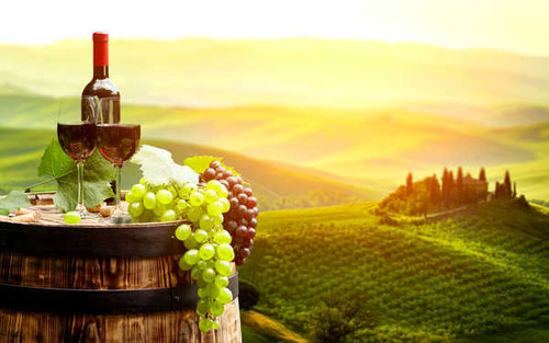 Jual Poster Barrel Fruit Glass Grapes Landscape Vineyard Wine Food Wine APC