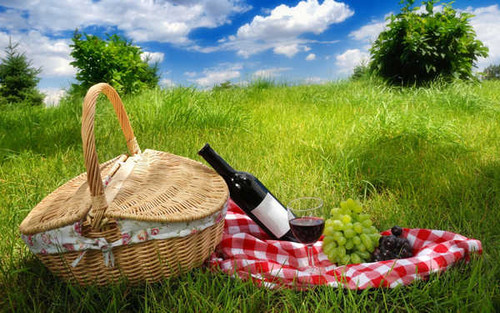 Jual Poster Basket Grapes Grass Picnic Picnic Basket Still Life Wine Food Picnic APC