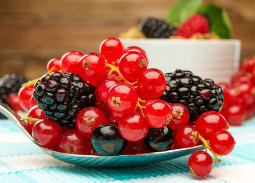 Jual Poster Berry Blackberry Currants Fruit Food Berry APC