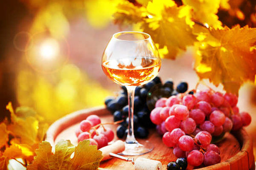 Jual Poster Bokeh Fall Glass Grapes Wine Food Wine APC