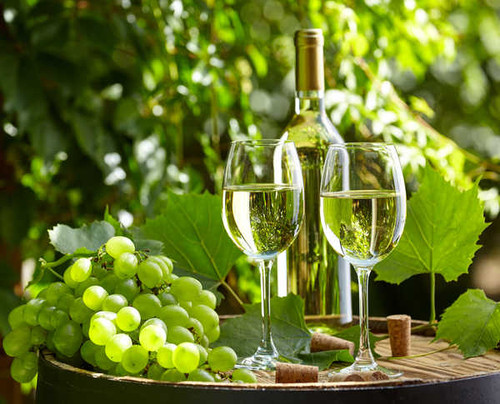 Jual Poster Bottle Glass Grapes Still Life Wine Food Still Life APC