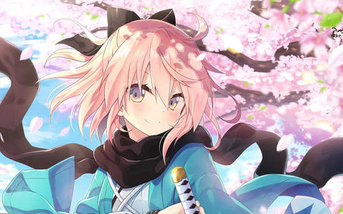 Poster Fate Series Fate Grand Order APC022A