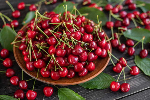 Jual Poster Cherry Fruit Still Life Fruits Cherry8 APC