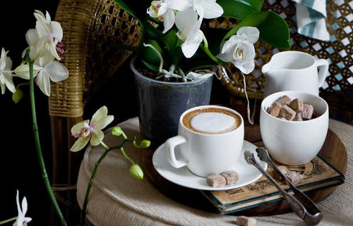 Jual Poster Coffee Cup Flower Orchid Still Life Sugar White Flower Food Coffee APC Jual Poster Coffee Cup Flower Orchid Still Life Sugar White Flower Food Coffee APC