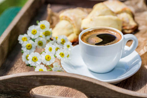 Jual Poster Coffee Cup White Flower Food Coffee APC Jual Poster Coffee Cup White Flower Food Coffee APC