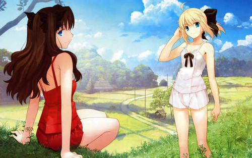 Poster Fate Series Fate Stay Night APC006 Poster Fate Series Fate Stay Night APC006