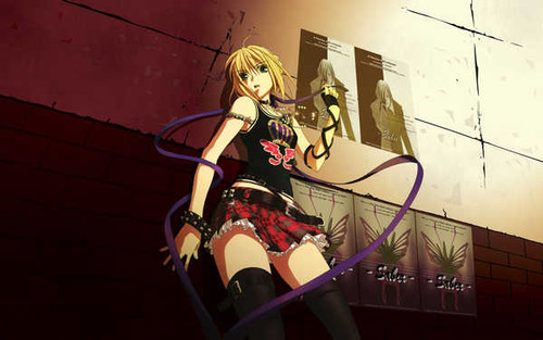 Poster Fate Series Fate Stay Night APC010