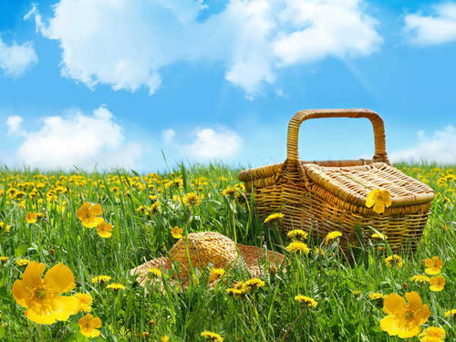 Jual Poster Field Picnic Basket Spring Straw Hat Yellow Flower Food Picnic APC Jual Poster Field Picnic Basket Spring Straw Hat Yellow Flower Food Picnic APC